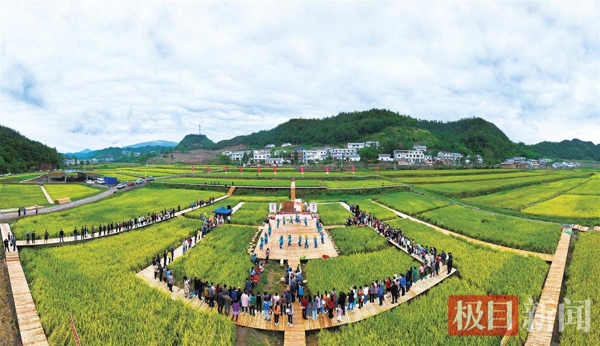 4、乡村旅游快速发展.png