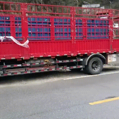 动图 00_00_00-00_00_30.gif