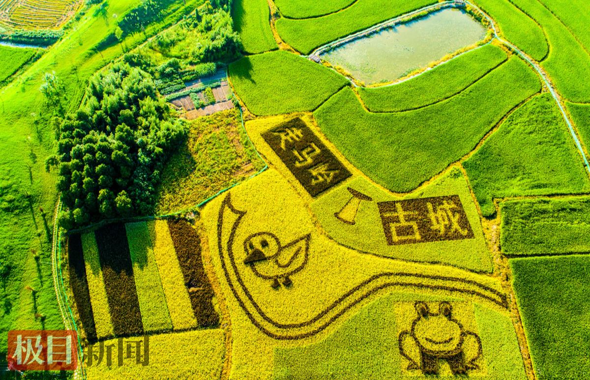 走马岭考古遗址公园打造的景观。（极目新闻通讯员 李吉明 摄）.jpg