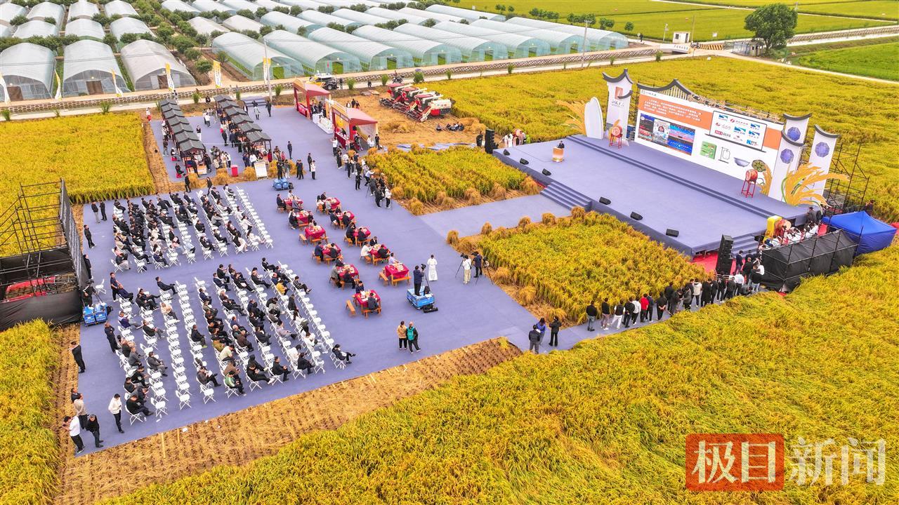 9月23日，湖北监利，水润荆楚·江米如珠，全国主流媒体走进江汉大米品牌核心地品牌推介会现场。（监利融媒记者 饶志超 摄） (1).jpg