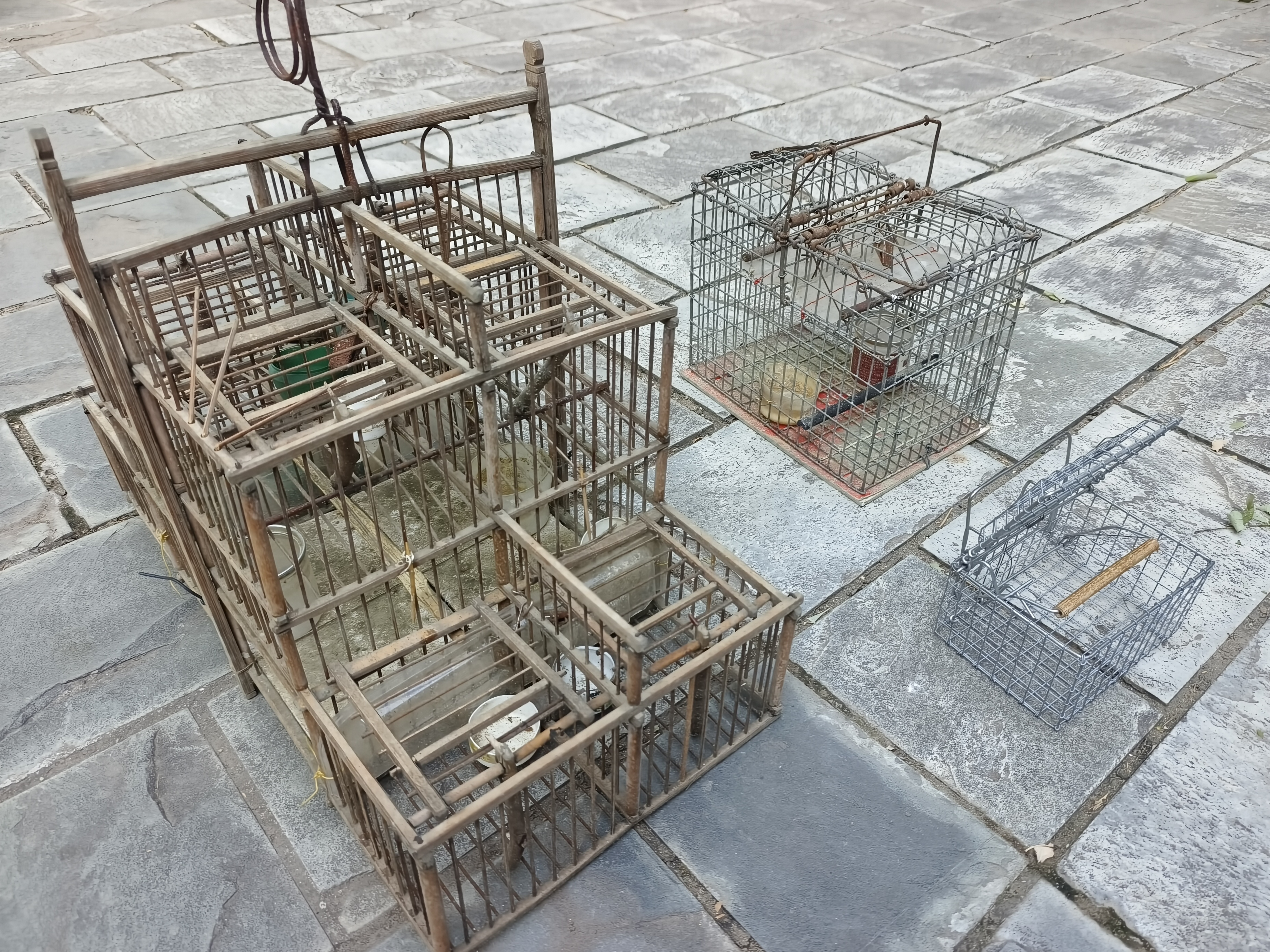 紧急提醒：见到这种笼子，立即举报！ 图2