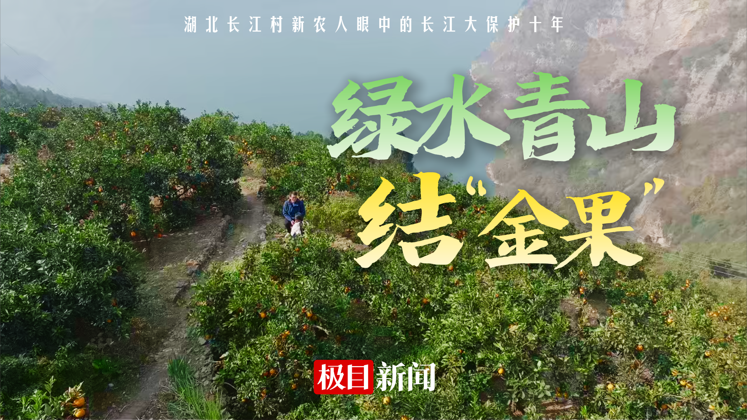 绿水青山结“金果”——湖北长江村新农人眼中的长江大保护十年
