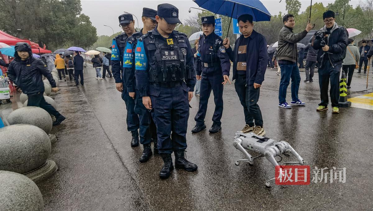 樱花季开幕，机器狗参与巡逻.jpg