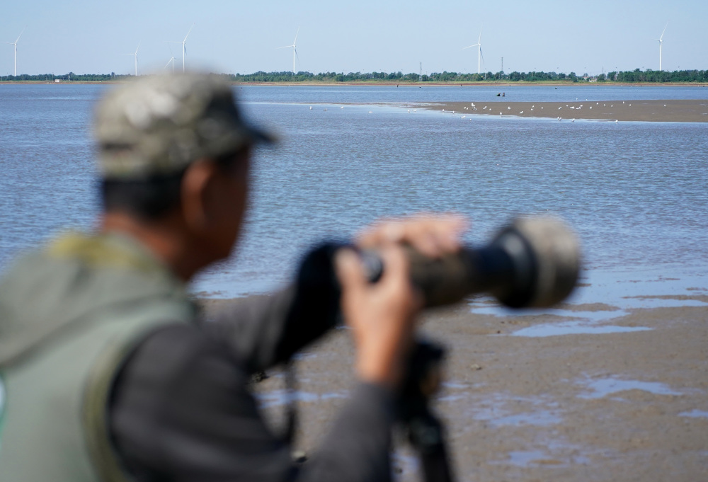 国道之行 海阔天空丨七旬护鸟人见证华北最大潟湖的生态蝶变-第7张-信息-51硕博论文