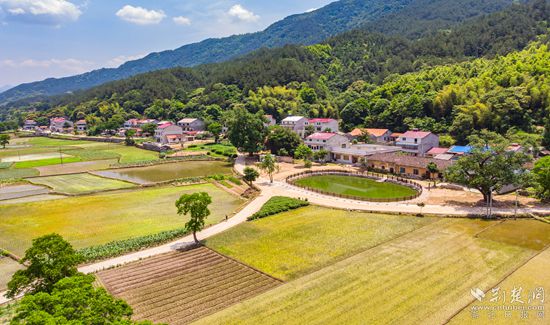 “沃野千里”，美不胜收。草盘地镇 供图