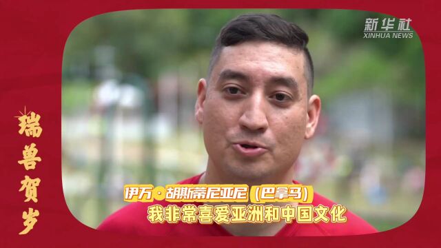 Thumbplayer Poster Plugin Image