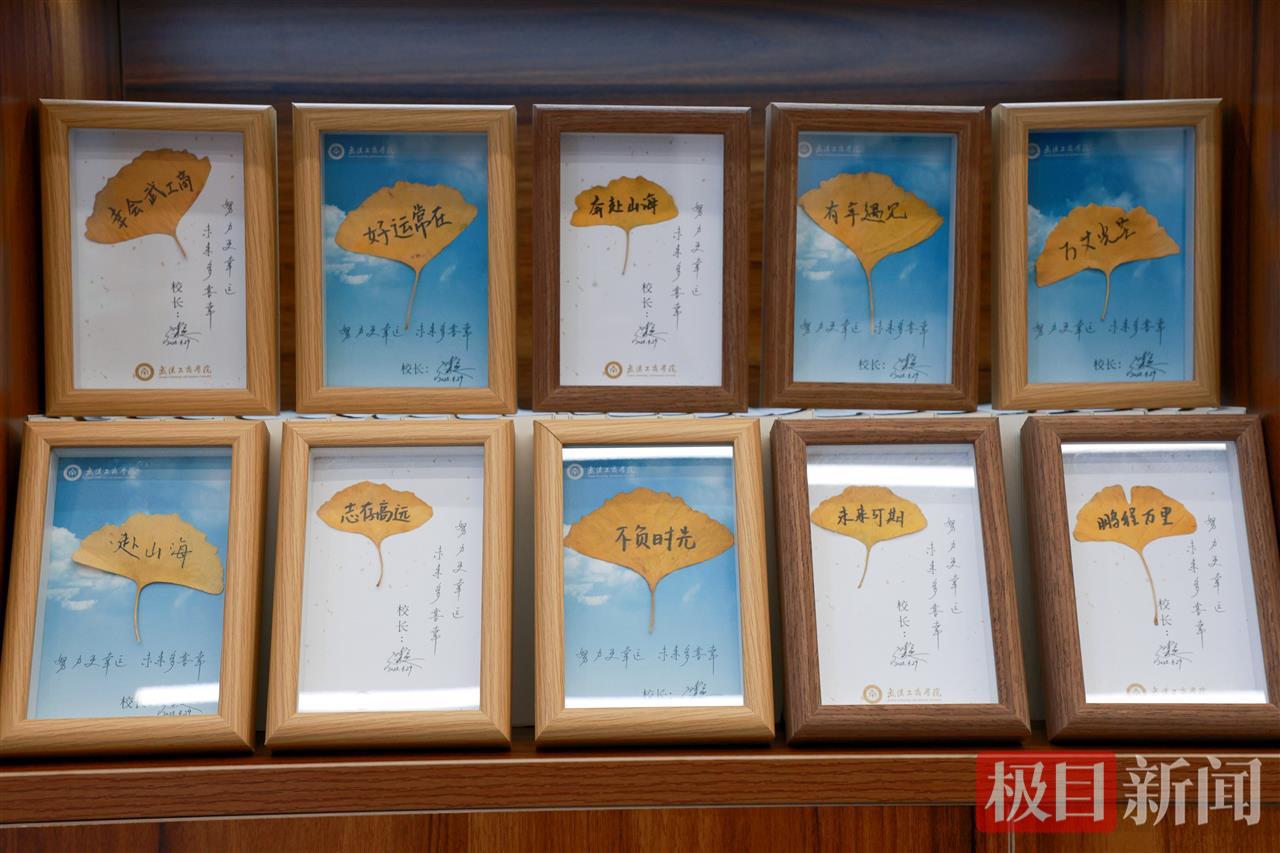 图为毕业礼物——银杏叶青春相框 摄影：芮雨欣 (2).JPG