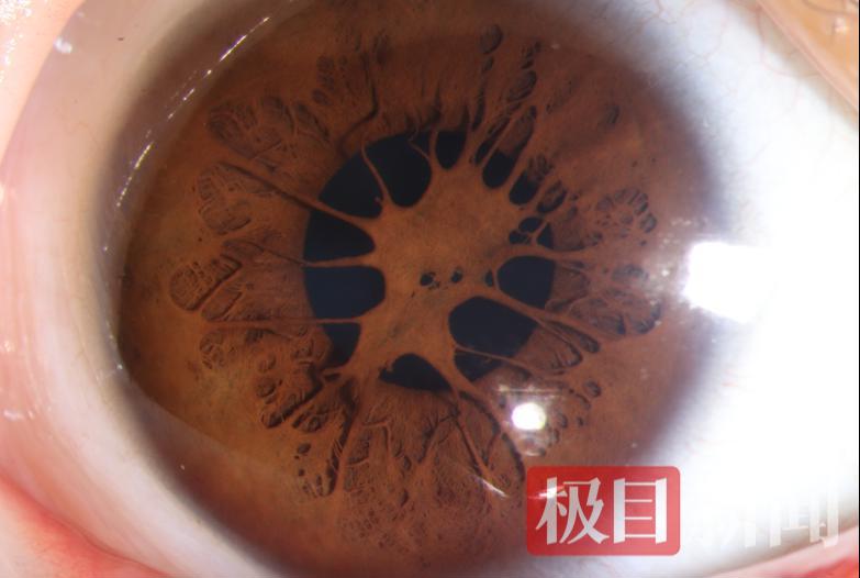 图片1 (1).png