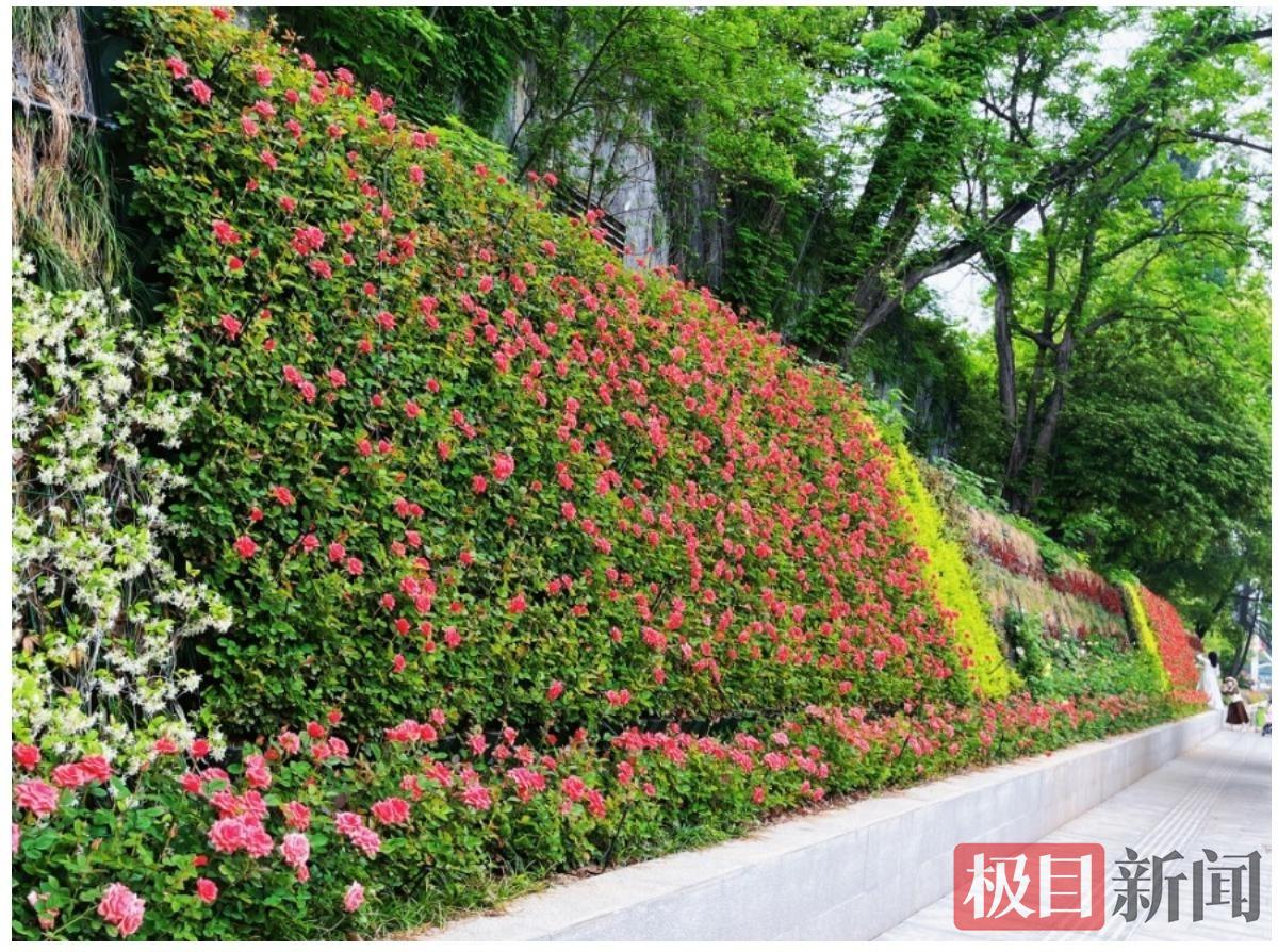 微信图片_20260515191930_40_1038.jpg