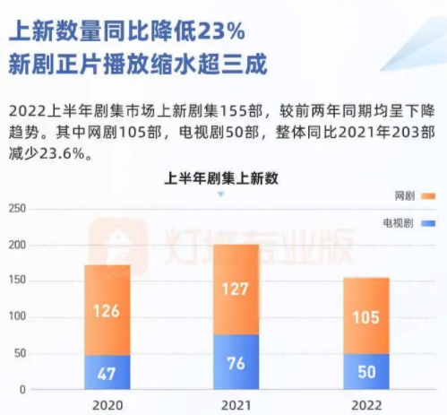 图片来源：《2022上半年剧集市场观察》截图