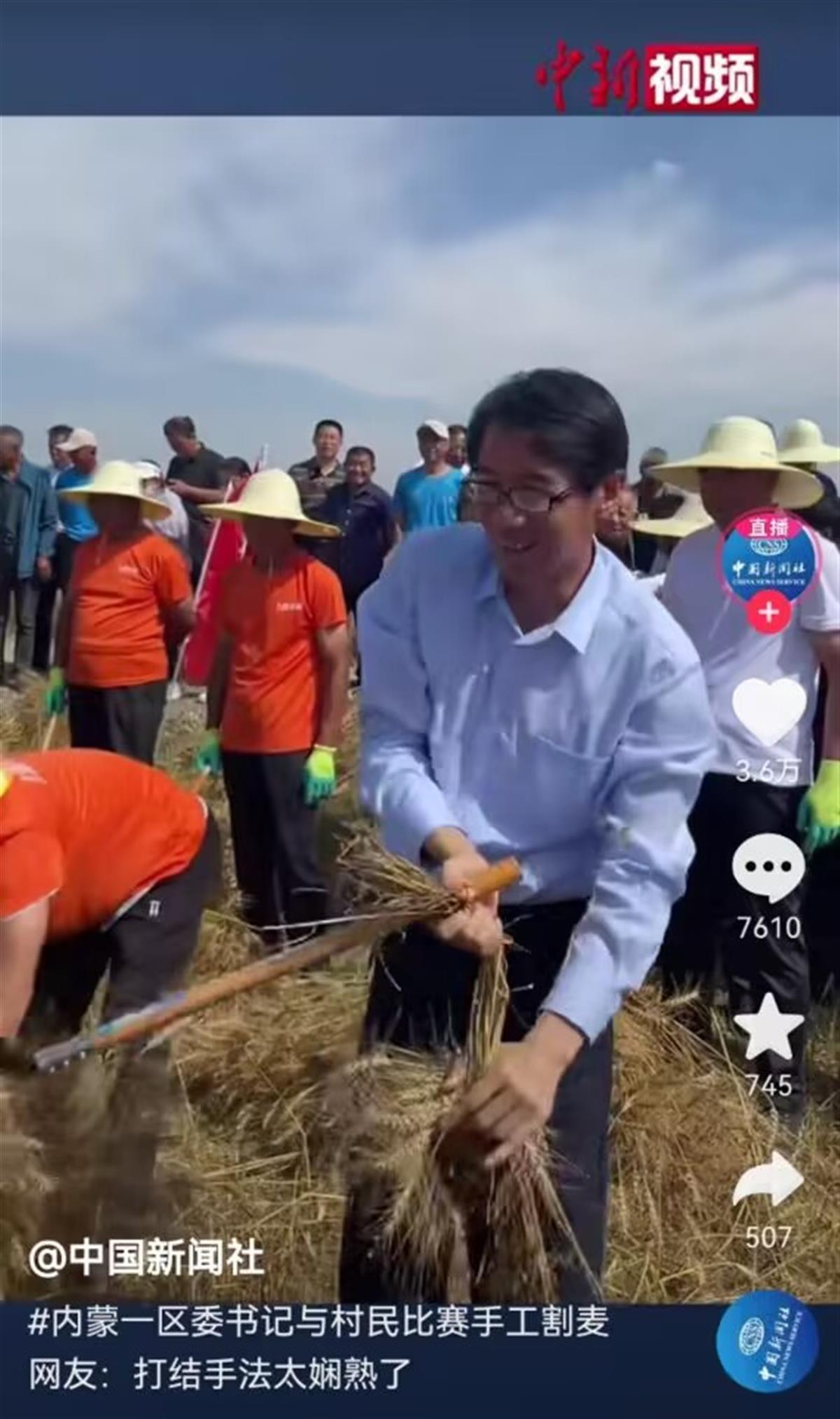 A区委书记与村民比赛手工割麦子2.jpg