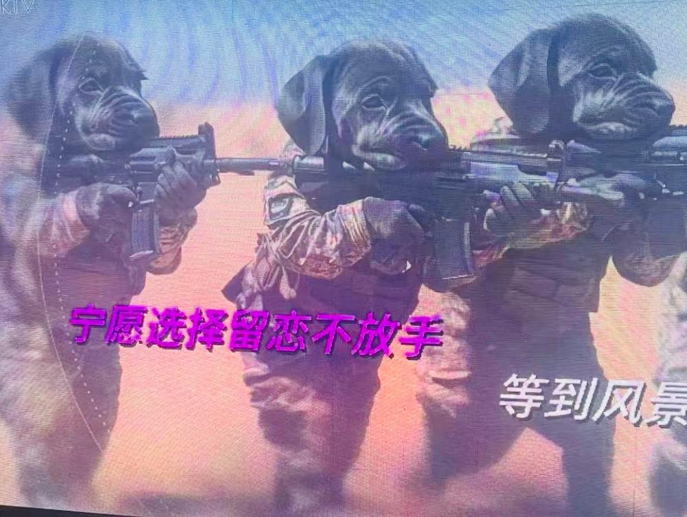 当AI入侵KTV：一些奇怪的事情发生了