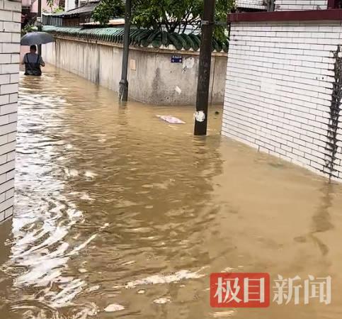 暴雨导致积水 来自受访者.jpg