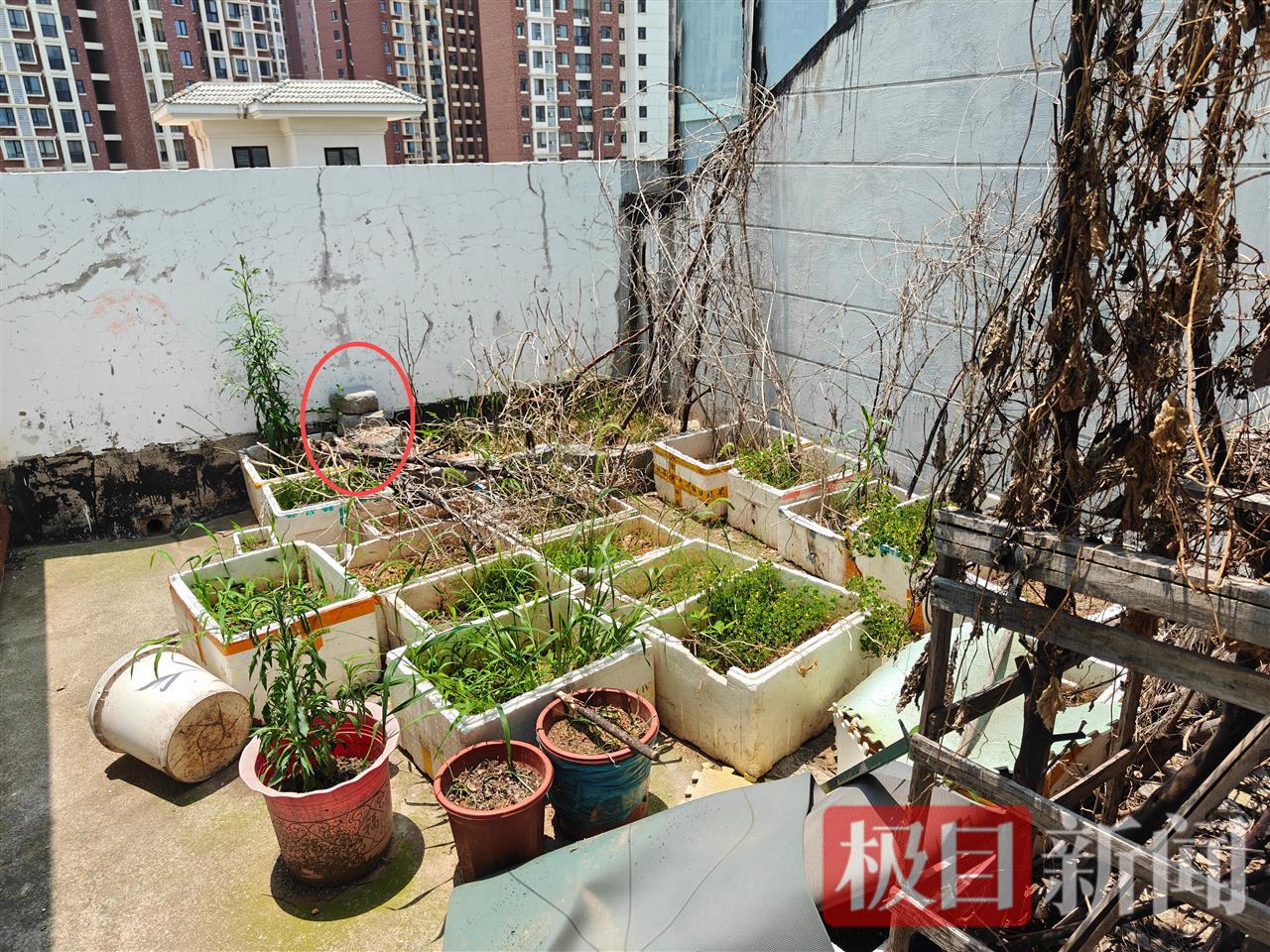 微信圖片_20250531130036(1).jpg