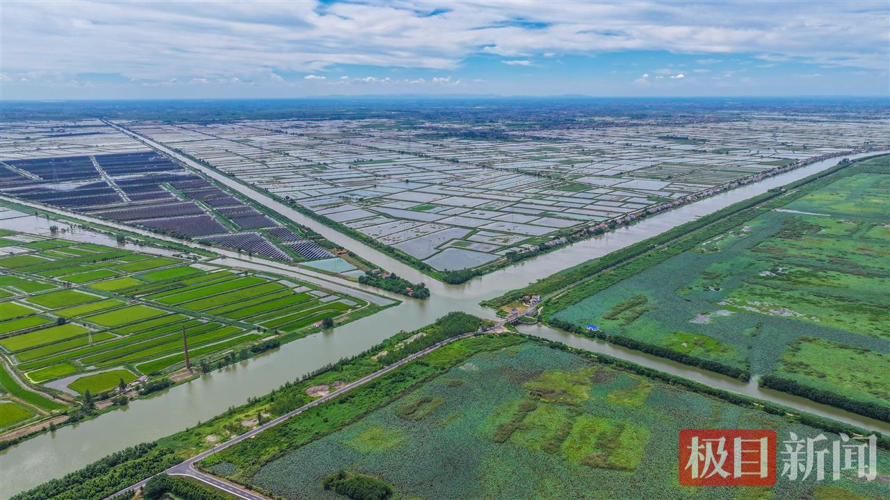 湖北省监利水乡一景。（监利融媒记者 刘肖 摄）.jpg