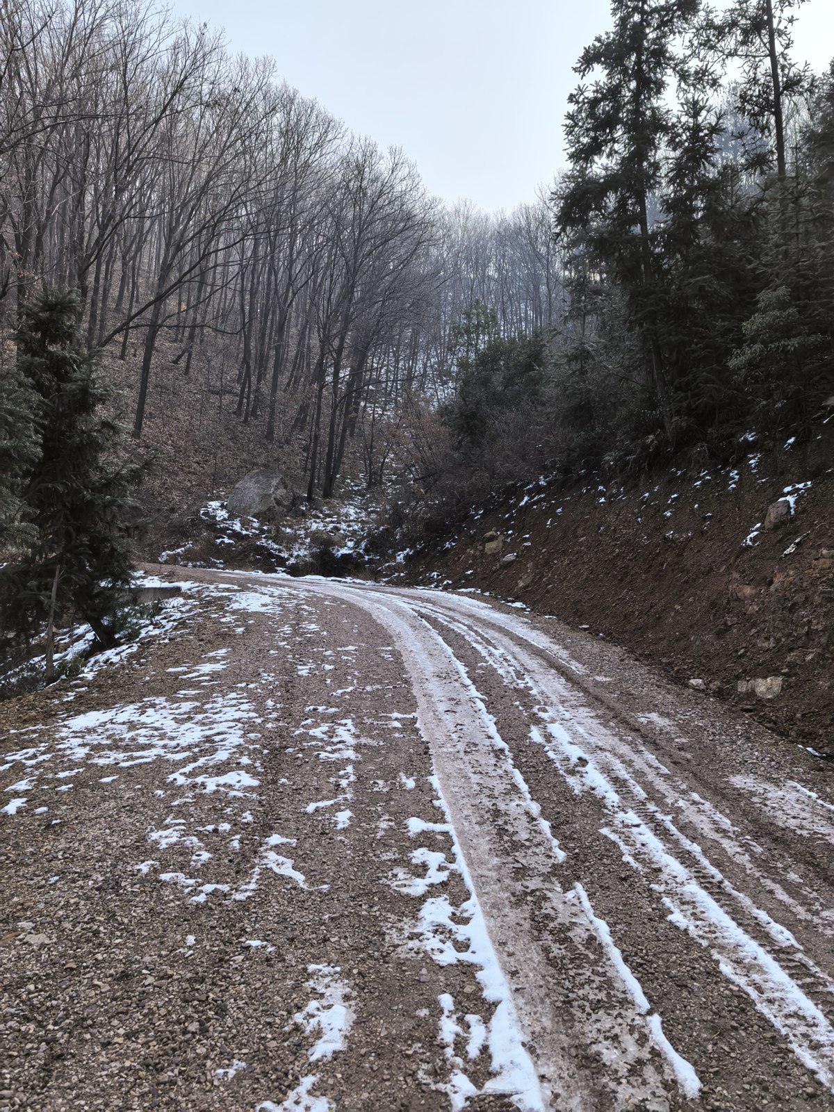 24日，武汉蔡甸嵩阳森林公园仍有残雪 颜军摄.jpg