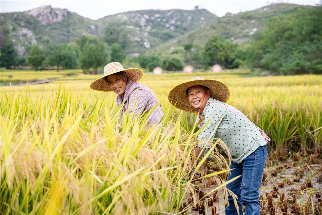 拍摄  张美德1.jpg