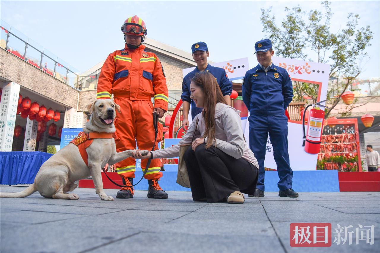 11月5日，湖北省荆州市2025年“119”消防宣传月启动仪式现场，高校大学生在与搜救犬互动（极目新闻通讯员 夏明桐 摄）.jpg