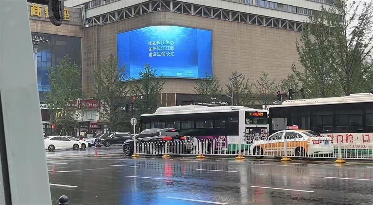 图片12  汉阳区将汉阳大道、龙阳大道、琴台大道主要商业圈的大型显示屏滚动播放禁捕宣传口号及短视频.jpg