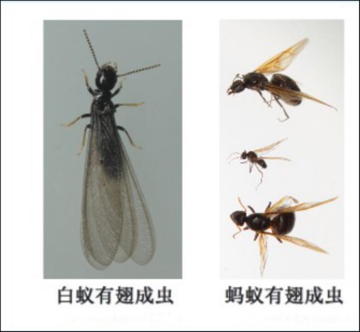 微信图片_20250330103516.png