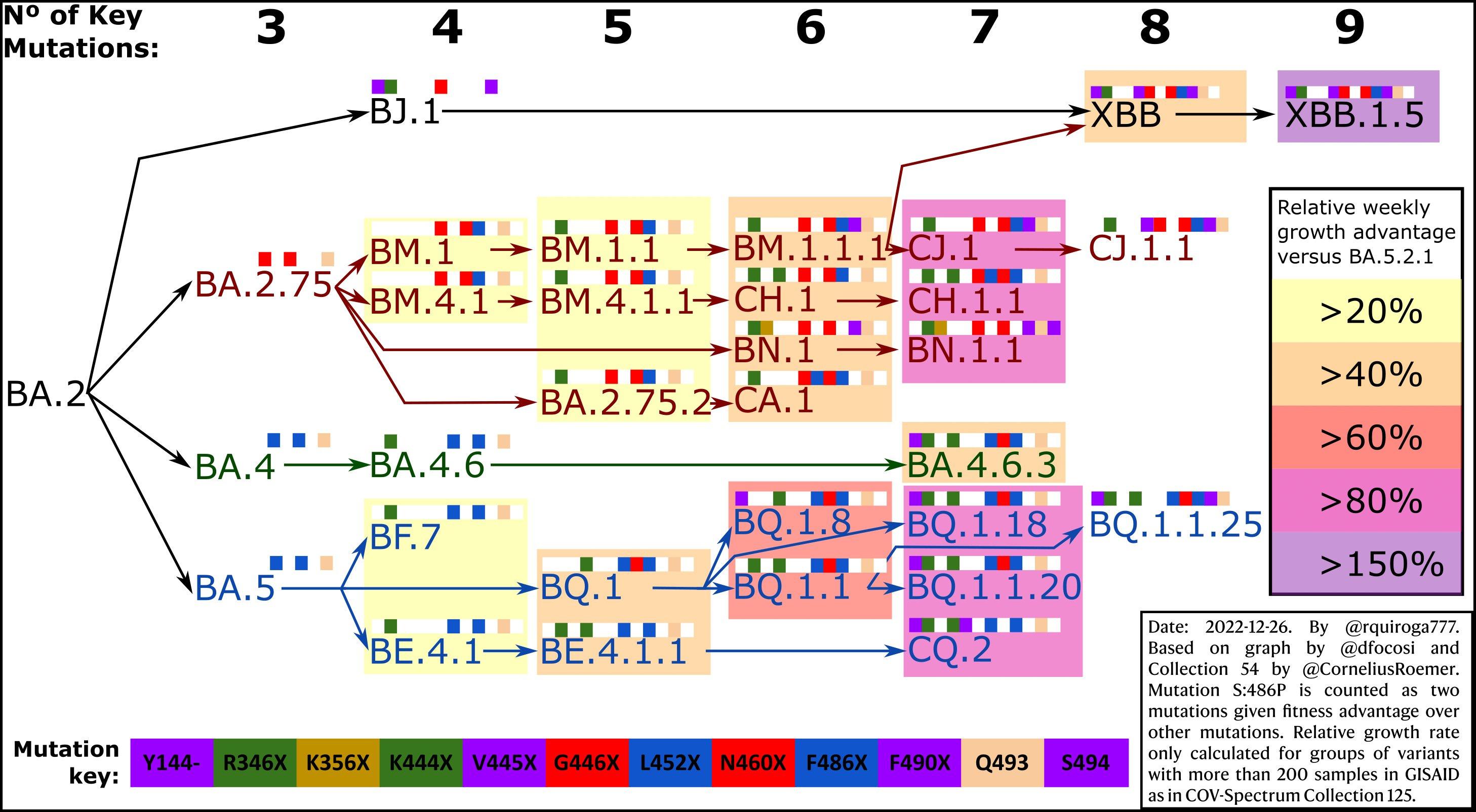 新冠病毒进化路线图。来源：Rodrigo Quiroga