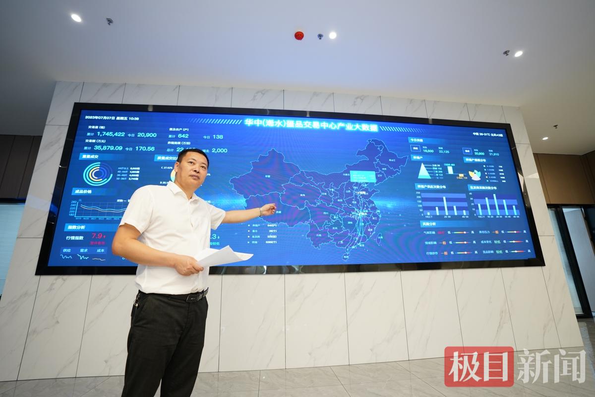 华中（浠水）蛋品交易中心产业大数据显示屏 袁杰摄影.jpg