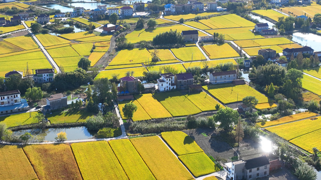 中共中央办公厅 国务院办公厅关于做好第二轮土地承包到期后再延长30年试点工作的意见