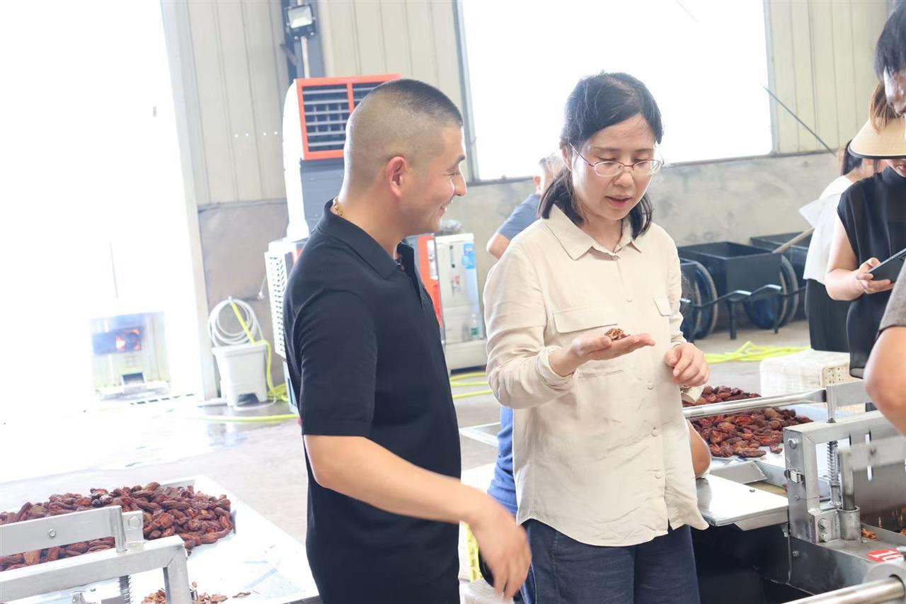 葛教授团队代表参观资丘木瓜轻简栽培与趁鲜切制基地。学校供图.jpg