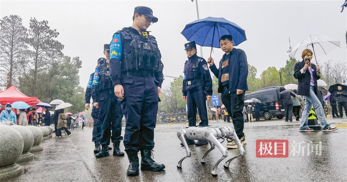 樱花季开幕，机器狗参与巡逻1.jpg
