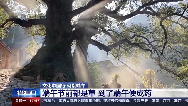 我國(guó)最早的“衛(wèi)生防疫日”！戰(zhàn)國(guó)前，古人就流行端午采藥了