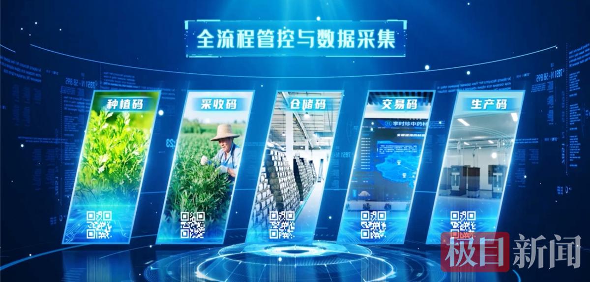 666图片1.jpg