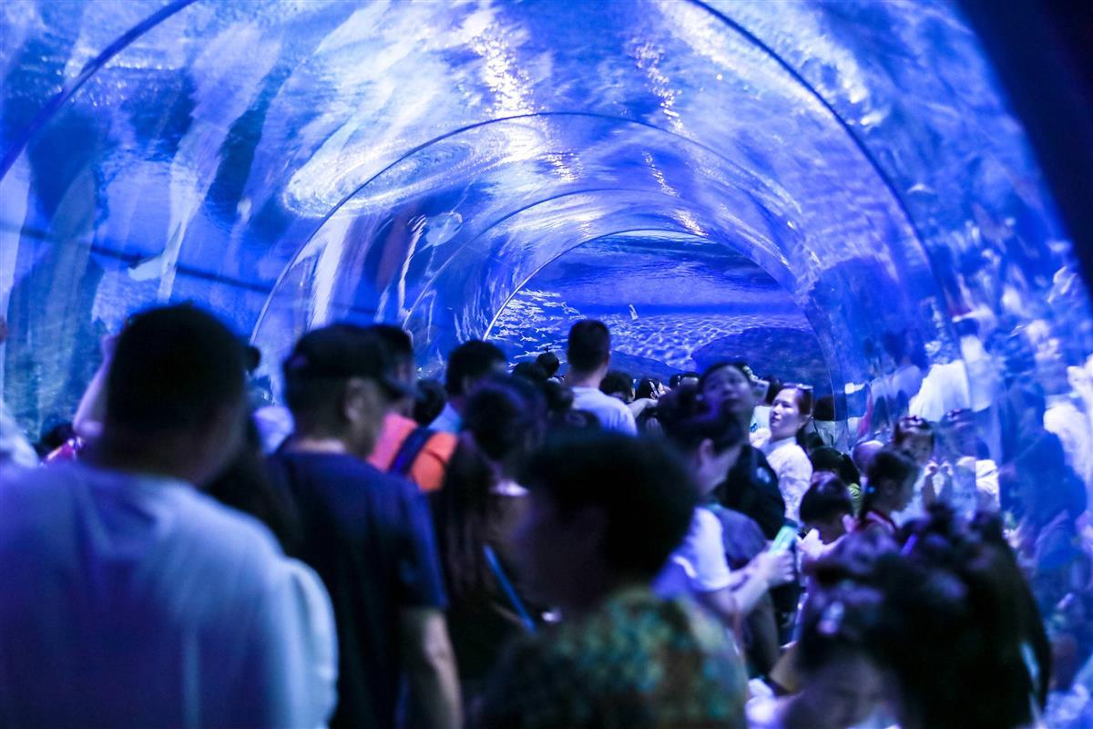 武汉极地海洋公园 摄影：陈明.jpg