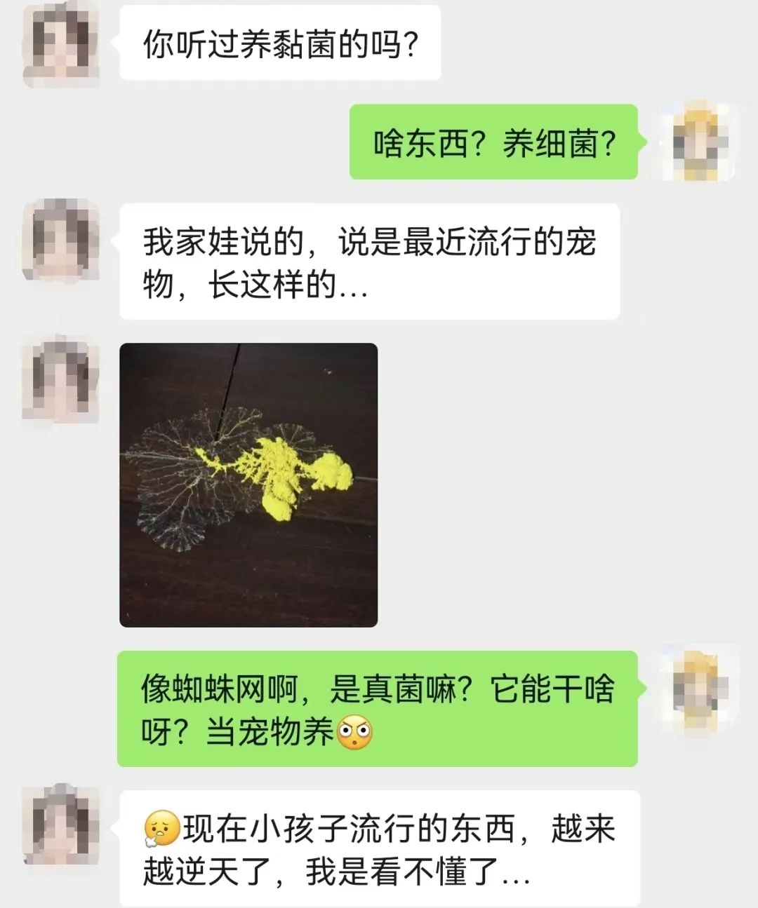 “这是什么东西？！”杭州家长傻眼：孩子竟然要养它，看不懂