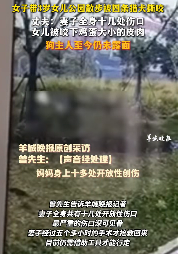 母女逛公园遭4条猎犬撕咬！家属：狗主人说没钱 不露面也没偿清治疗费