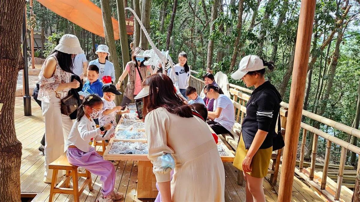 探秘岛-小朋友们在进行考古游戏.jpg