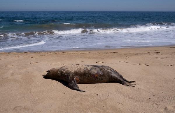 图源：澎湃影像