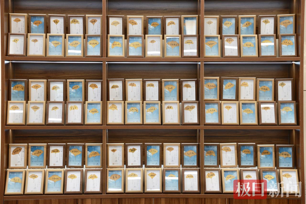 图为毕业礼物——银杏叶青春相框 摄影：芮雨欣 (3).JPG