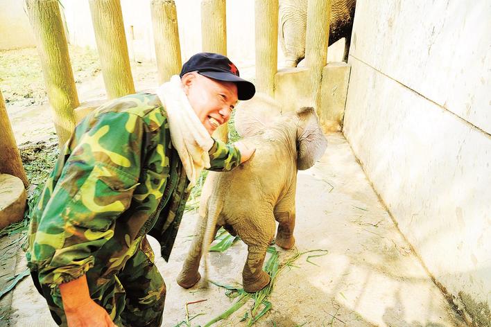 饲养员李万利轻抚小象（通讯员供图）