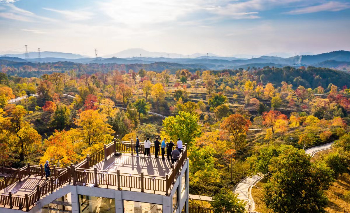 大别山（大悟）红叶景区