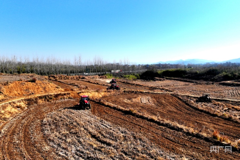 广袤田野上一派繁忙景象（央广网发 徐会刚摄）