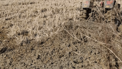 人勤春来早，农时不等人（央广网记者 王一凡制图）