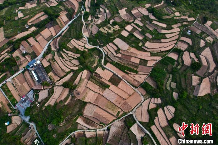 航拍福建莆田美丽的乡村梯田 | 极目新闻