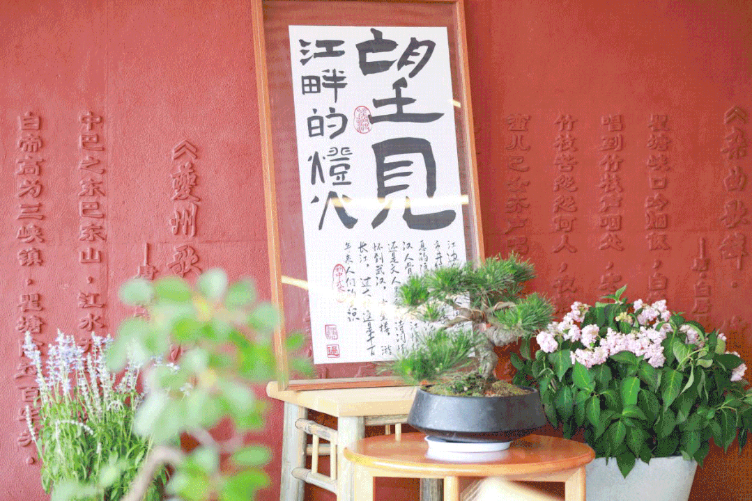 “留住城市记忆，传承古城文化”——部门、专家共话老地名回归 | 极目新闻