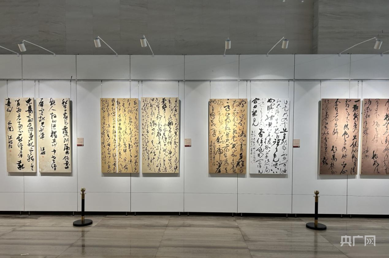 全国第三届书法临帖作品展（广西巡展）亮相南宁 | 极目新闻