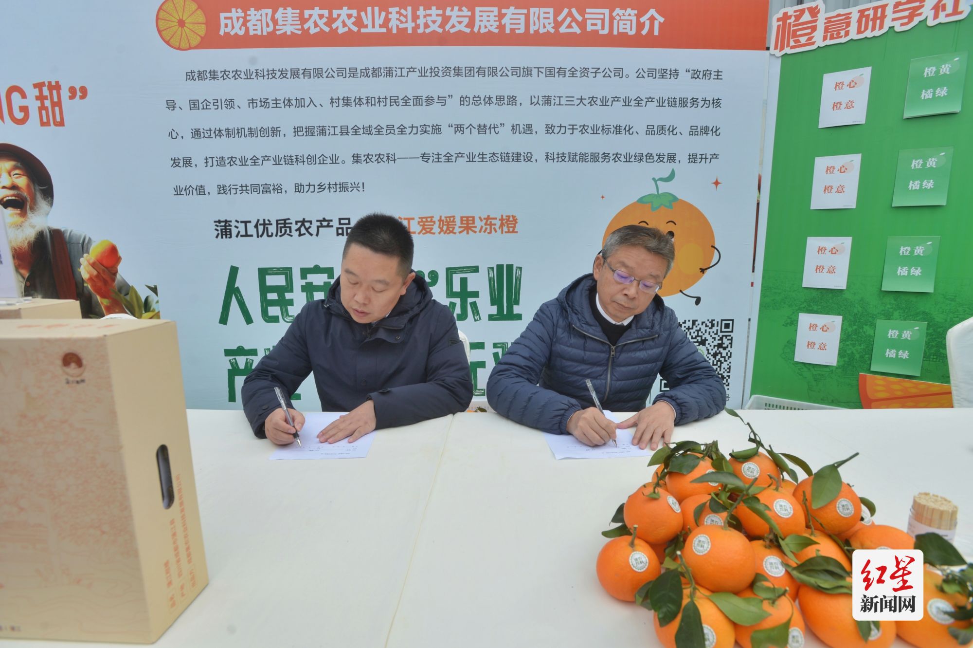 品冬日甘甜 展特色产品 促合作交流 蒲江县西来镇“两个替代”农产品品鉴会在成都举行 | 极目新闻