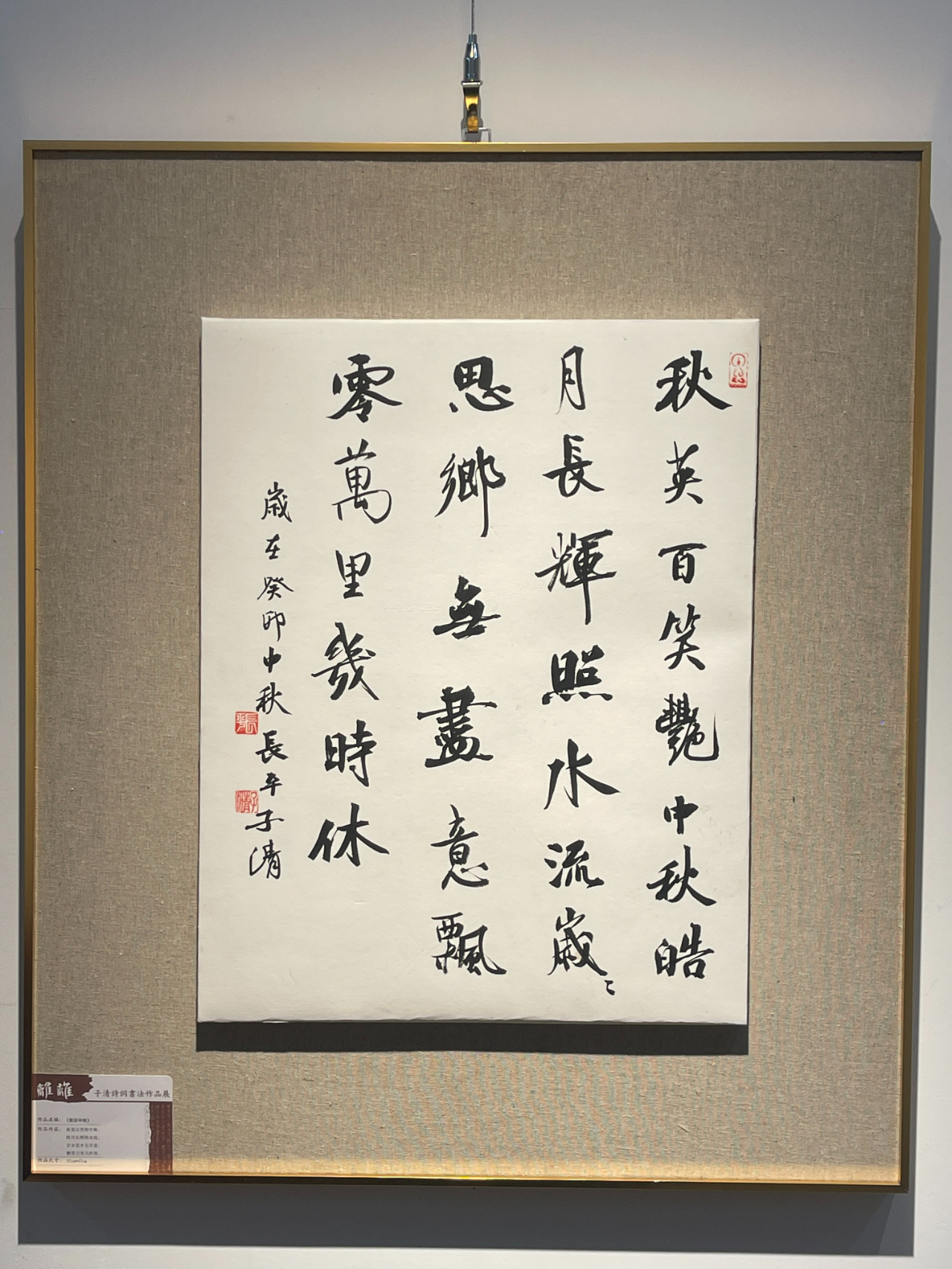 传承书法艺术 弘扬传统文化 | 极目新闻