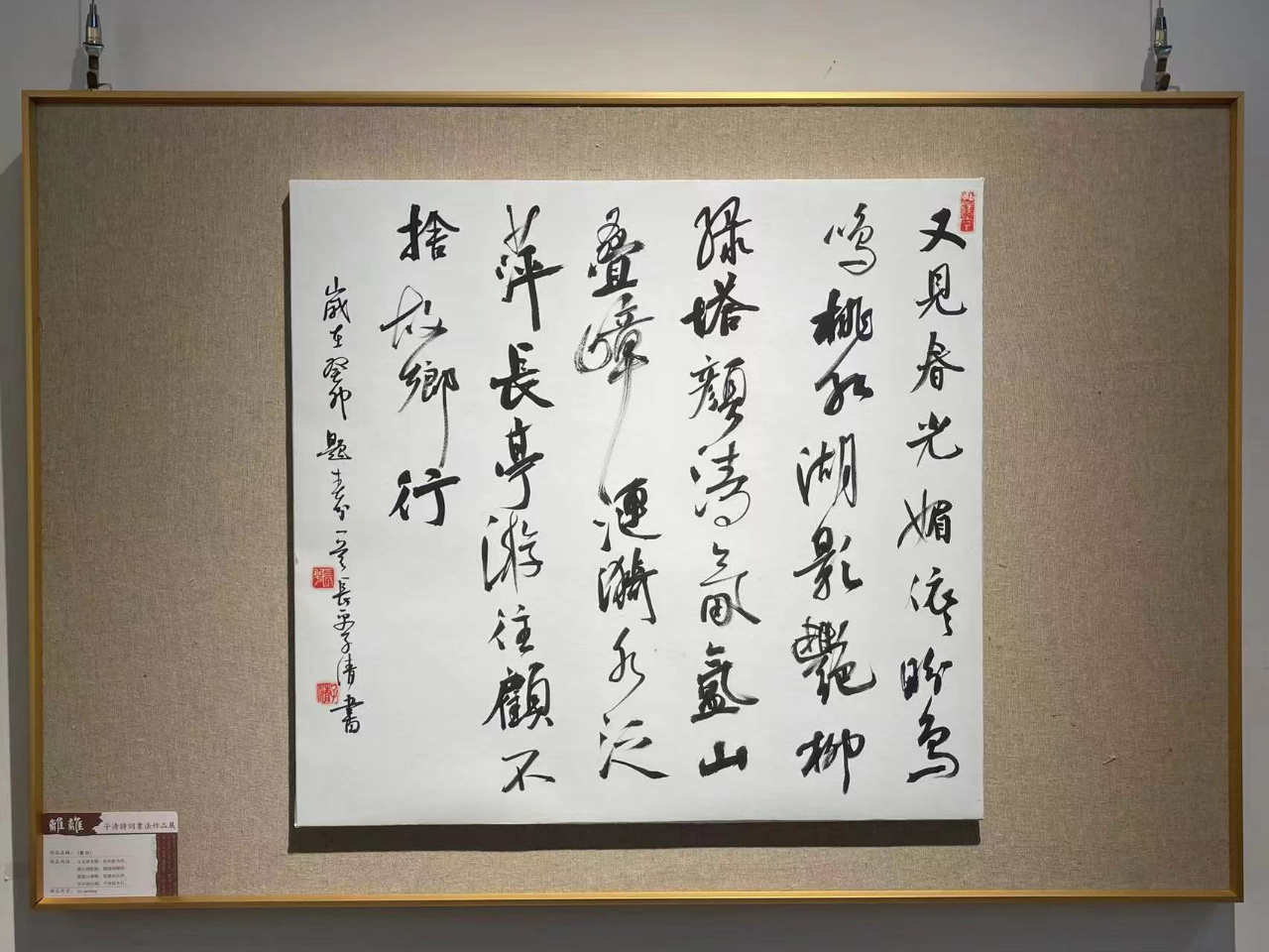 传承书法艺术 弘扬传统文化 | 极目新闻