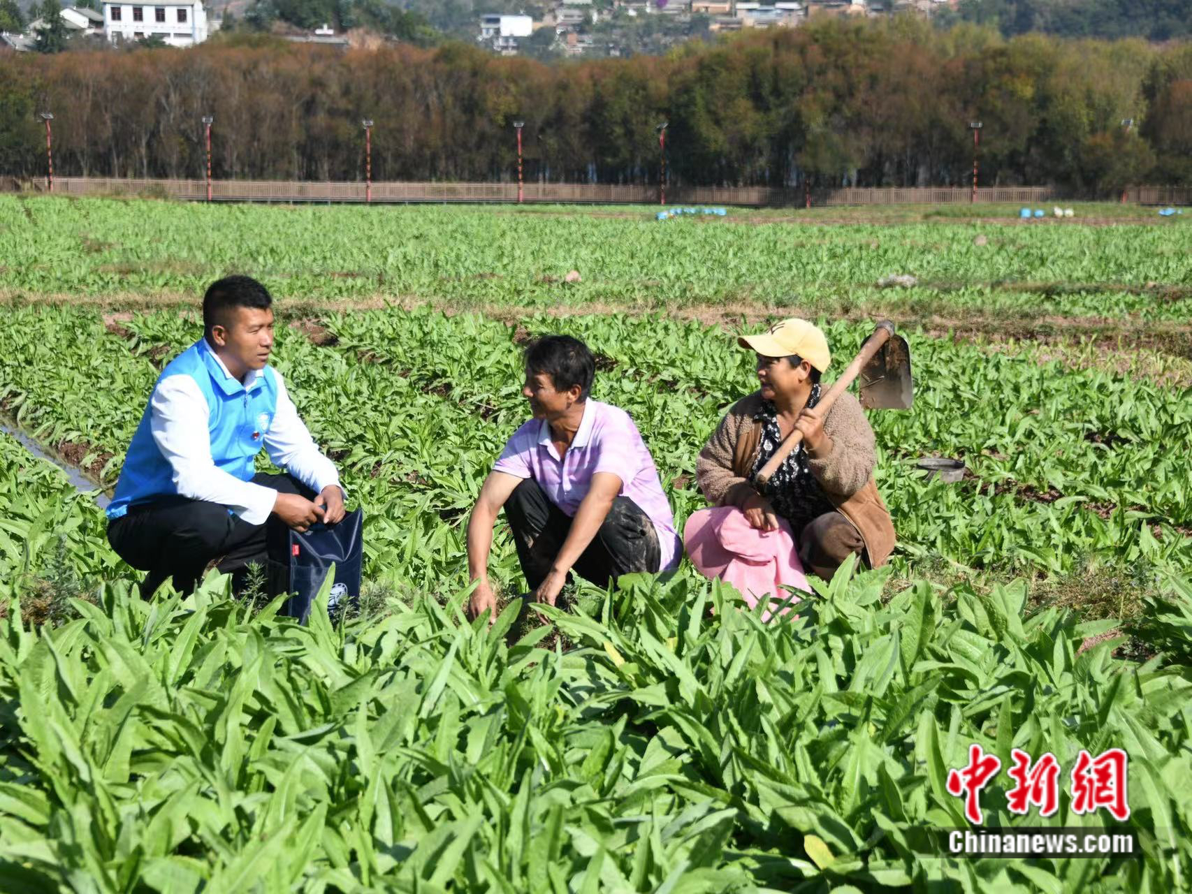 云南巍山：“调解+普法”，让普法更有人情味