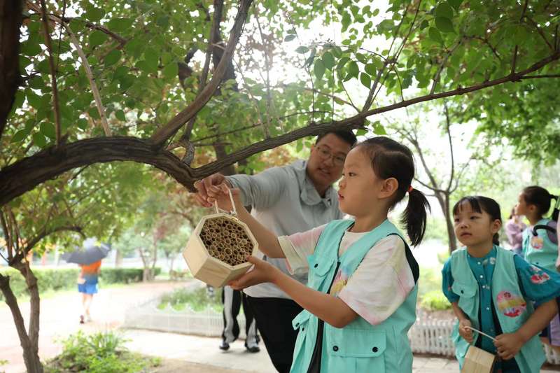 北京太阳宫地区全龄友好微花园示范点授牌，居民参与花园建设认养绿植