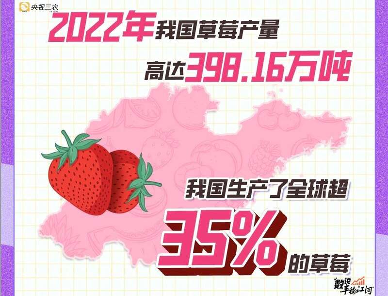 天安门广场的大花篮里放了苹果、桃子、石榴 为什么是它们？-第9张-信息-51硕博论文